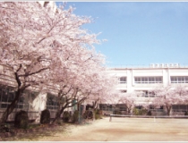菊華高等学校の校舎