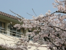 桜と青森県立八戸中央高等学校の校舎