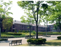 仙台育英学園高等学校の庭
